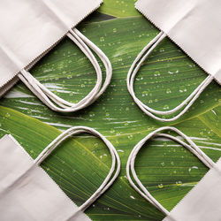 High angle view of paper bags on wet green leaves