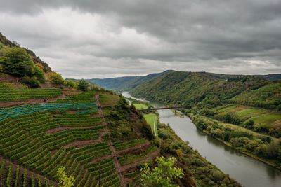 Scenic view of agricultural landscape against sky