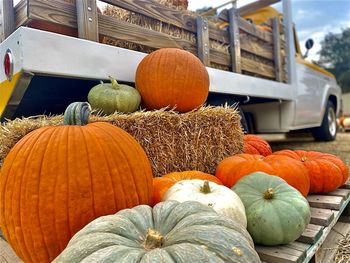 Close-up of pumpkins for sale