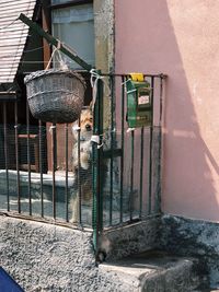 Metal grate of old building