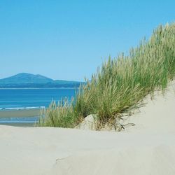 Scenic view of beach against clear blue sky