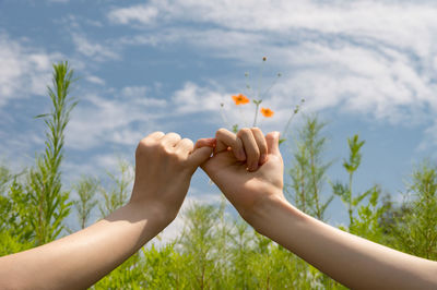 Cropped hands of woman against sky