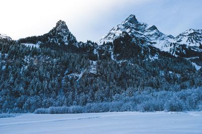 Snow covered trees against mountain and sky