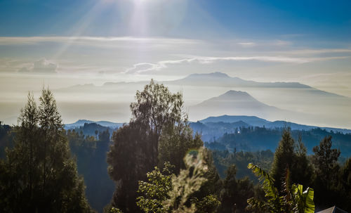 Panoramic view of trees and mountains against sky