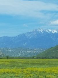 Scenic view of landscape against sky