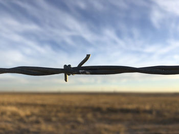 Close-up of barbed wire fence against sky