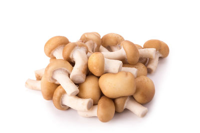 Close-up of cookies against white background