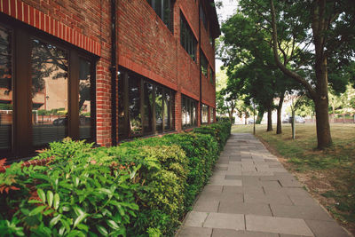 Footpath along trees