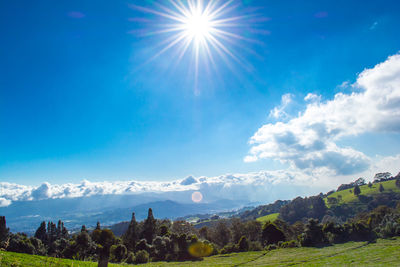 Scenic view of landscape against sky