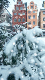 Snow covered street and buildings in city