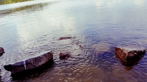 High angle view of water