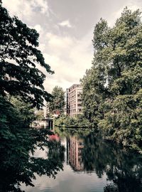 Reflection of trees and buildings in lake