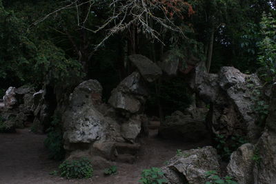 Rocks in forest