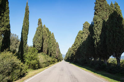 Road amidst trees against clear sky