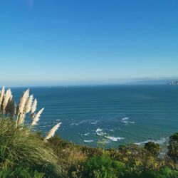 Scenic view of sea against clear blue sky