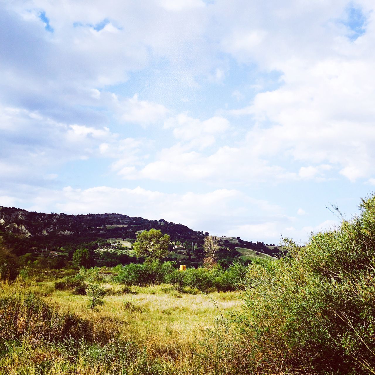 VIEW OF RURAL LANDSCAPE