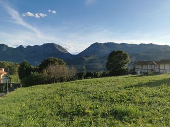 Scenic view of field and mountains against sky