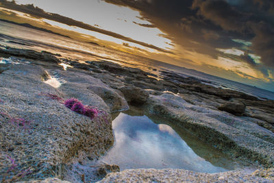 Close-up of beach against sky during sunset