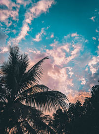 Low angle view of silhouette palm trees against sky