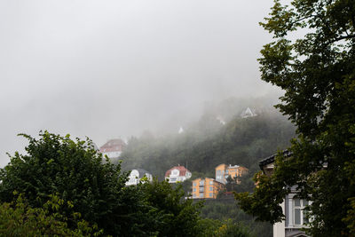 Trees and buildings in town against sky