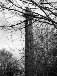 Low angle view of tree against sky