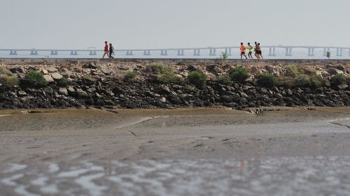 Scenic view of beach against clear sky