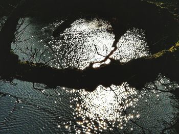 High angle view of silhouette trees by lake