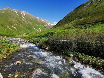 Scenic view of stream amidst plants against sky