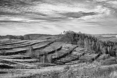 Scenic view of agricultural field against sky