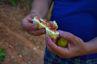 Summer fig