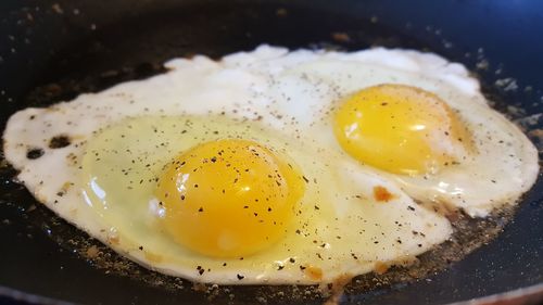 Close-up of breakfast served in plate