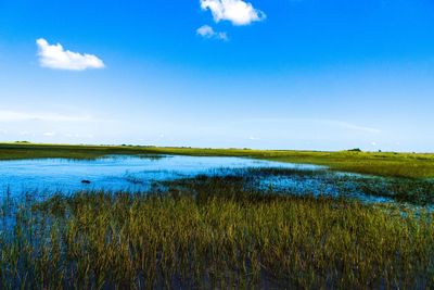 Scenic view of lake against sky