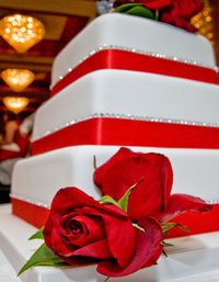 Close-up of red roses