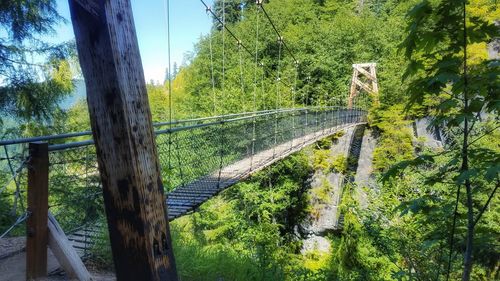 Footbridge in forest against sky