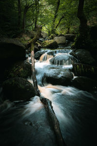 Water flowing through rocks in forest