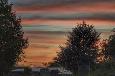 Silhouette of trees against sky at sunset