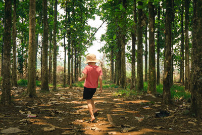 Rear view of woman walking in forest