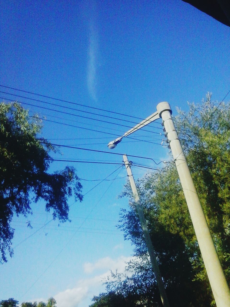 low angle view, blue, tree, clear sky, sky, vapor trail, connection, sunlight, copy space, outdoors, day, nature, no people, growth, cable, built structure, power line, electricity, transportation, silhouette