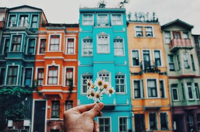 Cropped hand of person holding flowers against building in city