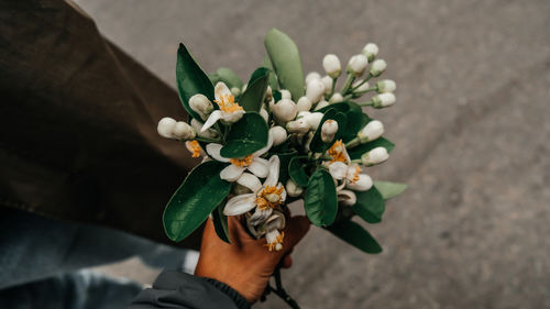 flower