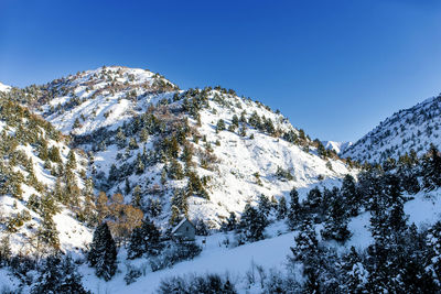 Beautiful mountain peaks covered with snow in the area of beldersay resort in uzbekistan