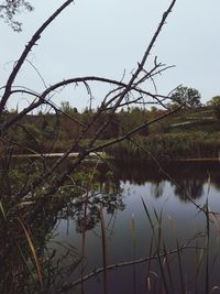 Reflection of trees in lake against sky