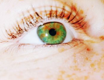 Extreme close-up of human eye