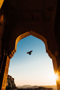 Low angle view of birds flying against sky