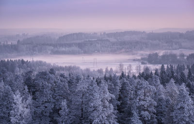 Scenic view of trees against sky during winter