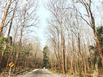 Road amidst trees in forest against sky