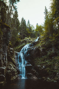 Scenic view of waterfall in forest