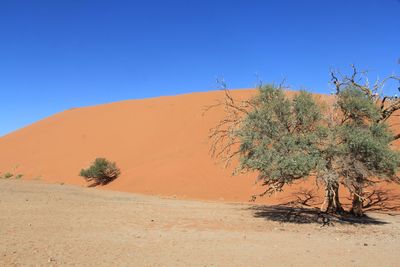 Scenic view of desert against clear blue sky