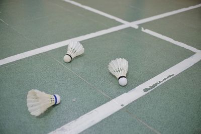 Shuttlecocks are scattered on the badminton court
