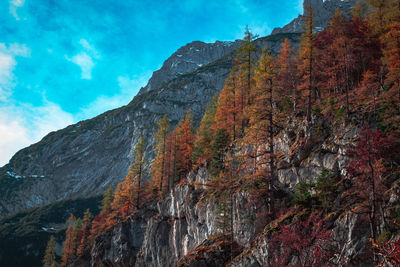 Low angle view of autumn mountain against sky